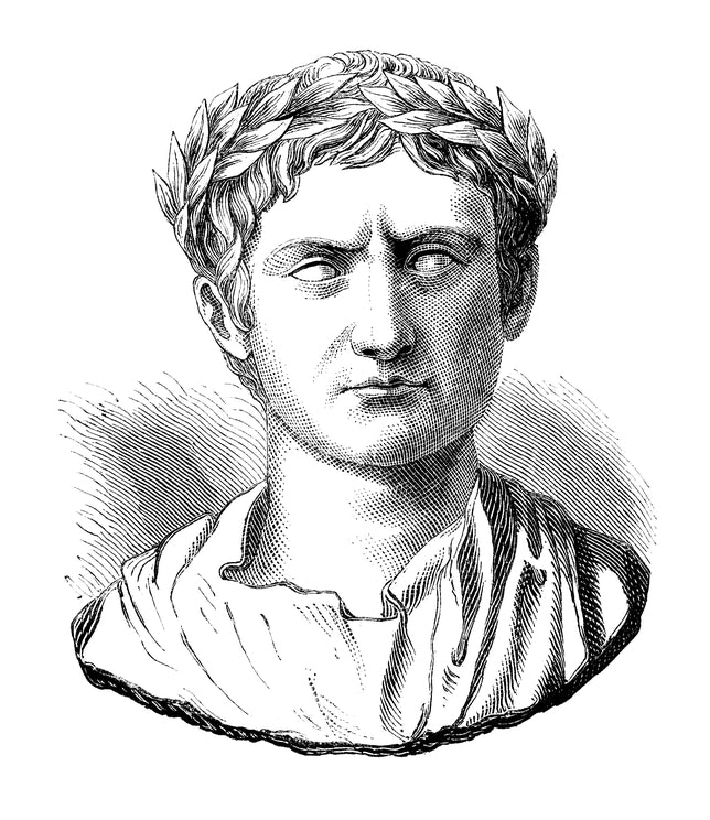 History of Beards - Romans