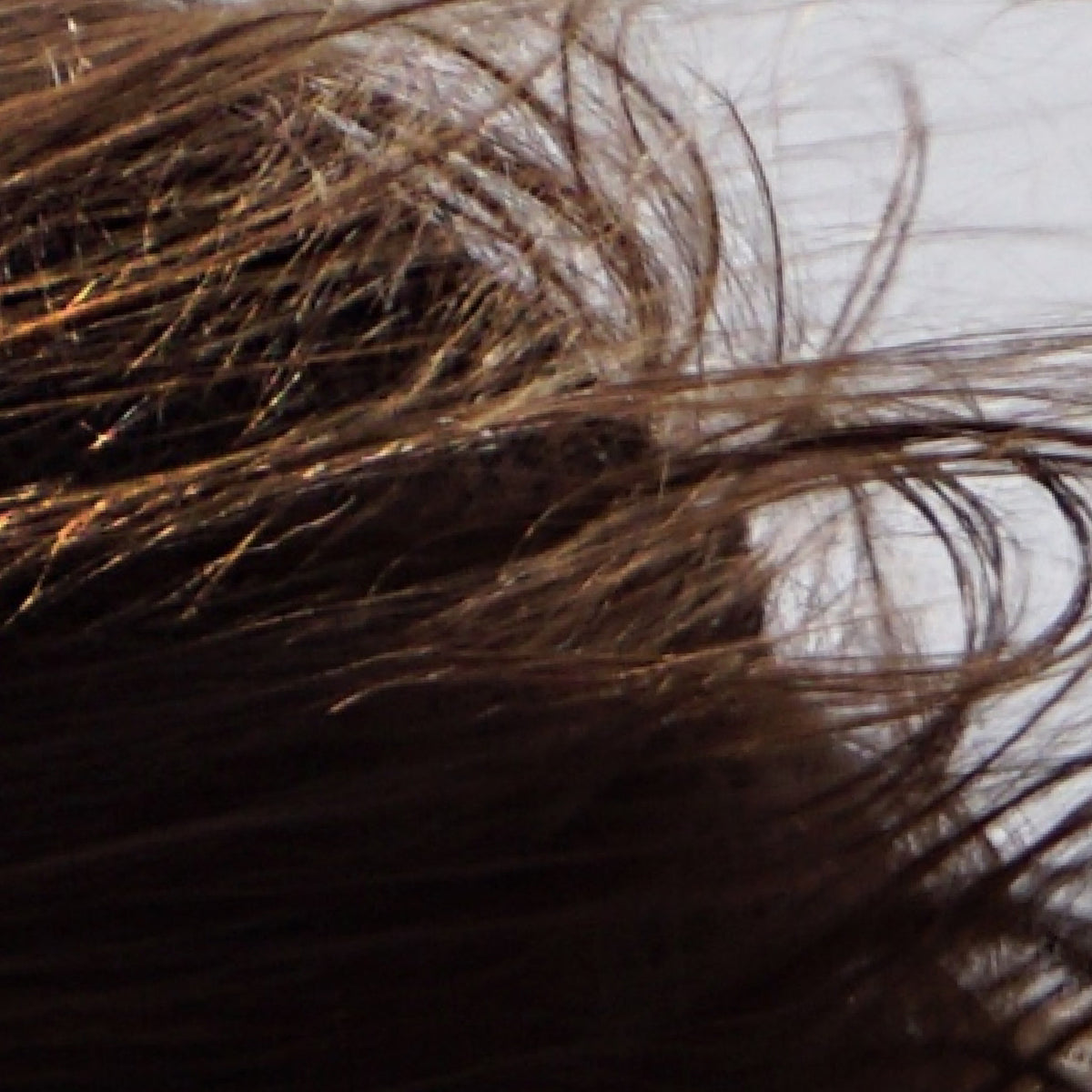 WIND