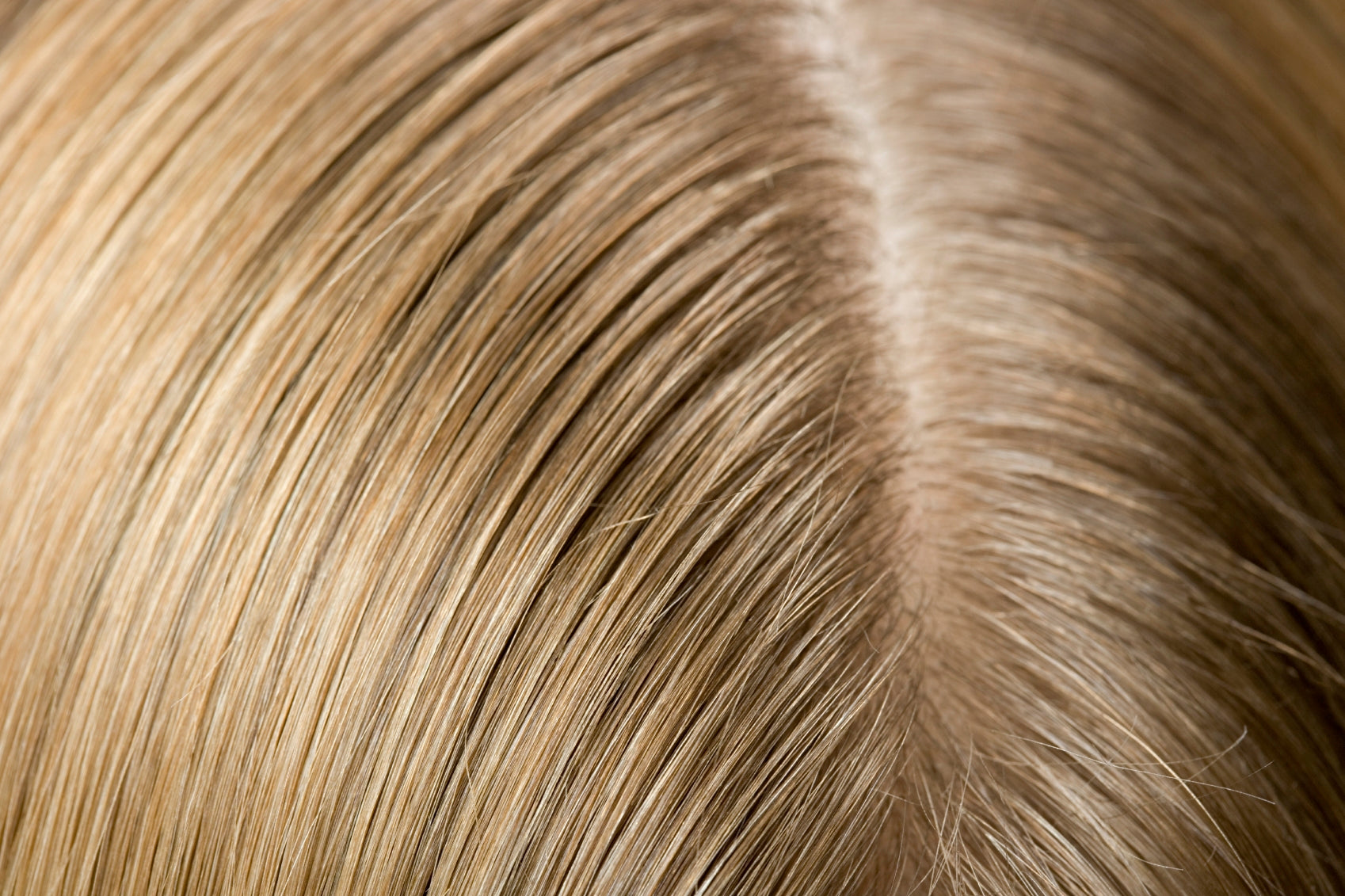 iStock_000029835686_Medium