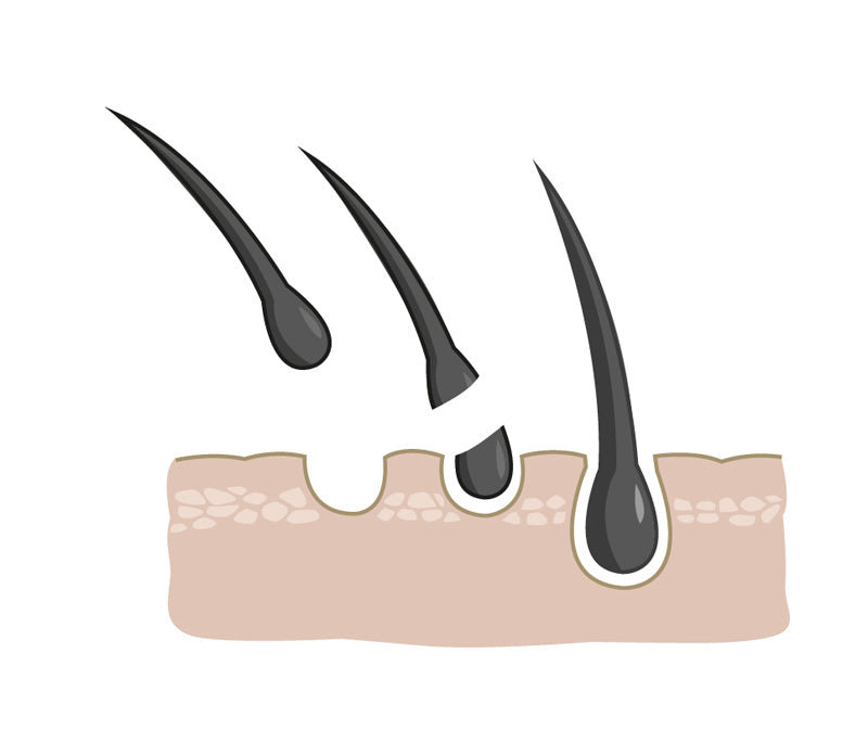 shutterstock_208579027