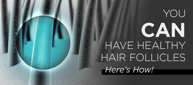 Maintaining Healthy Hair Follicle Function - Toppik Hair Blog